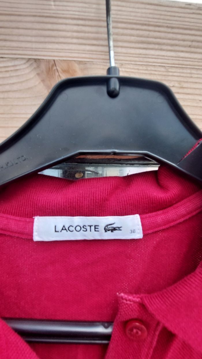 Polo lacoste taille 36 - photo numéro 3