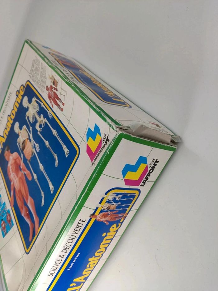 L'anatomie / Corps Humain / 1987 vintage Laffont semble complet voir photos - photo numéro 2