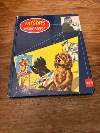Grand livre vintage bon état Les trésors de Pierre Probst Caroline bd