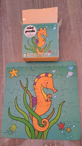 Puzzle hypoccampe