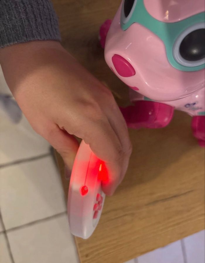 Chien interactif - photo numéro 4