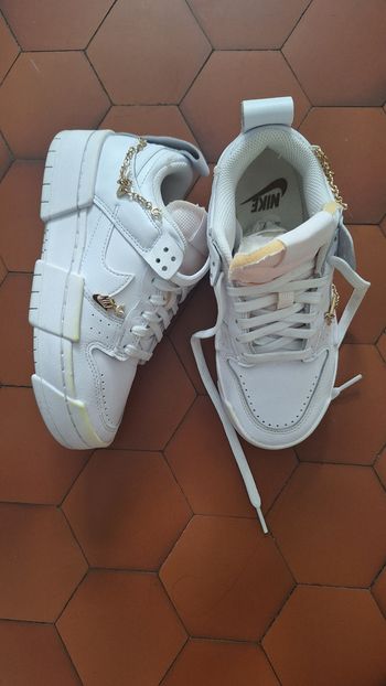 Nike dunk disrupt
