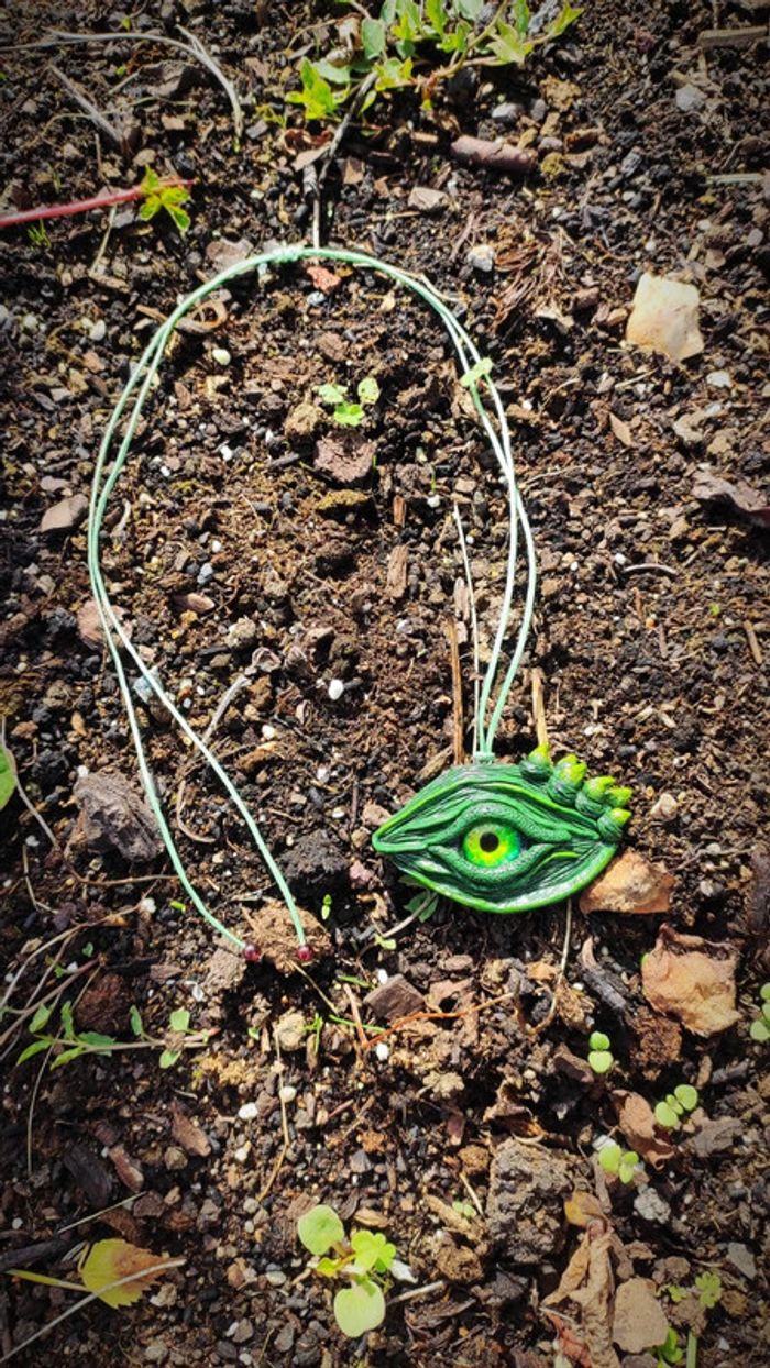 Oeil de reptile - photo numéro 6