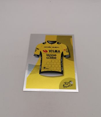 Panini sticker Tour de France 2024 n° 289.