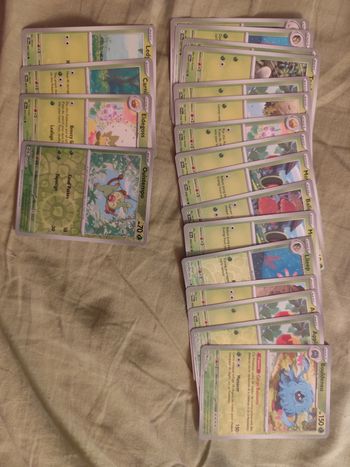 Carte pokémon