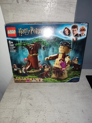 Lego Harry Potter "La Forêt interdite : la rencontre d'Ombrage "(75967)