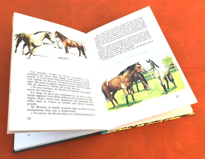 Anne Rochegude L' Incroyable voyage et autres histoires de chevaux - photo numéro 8