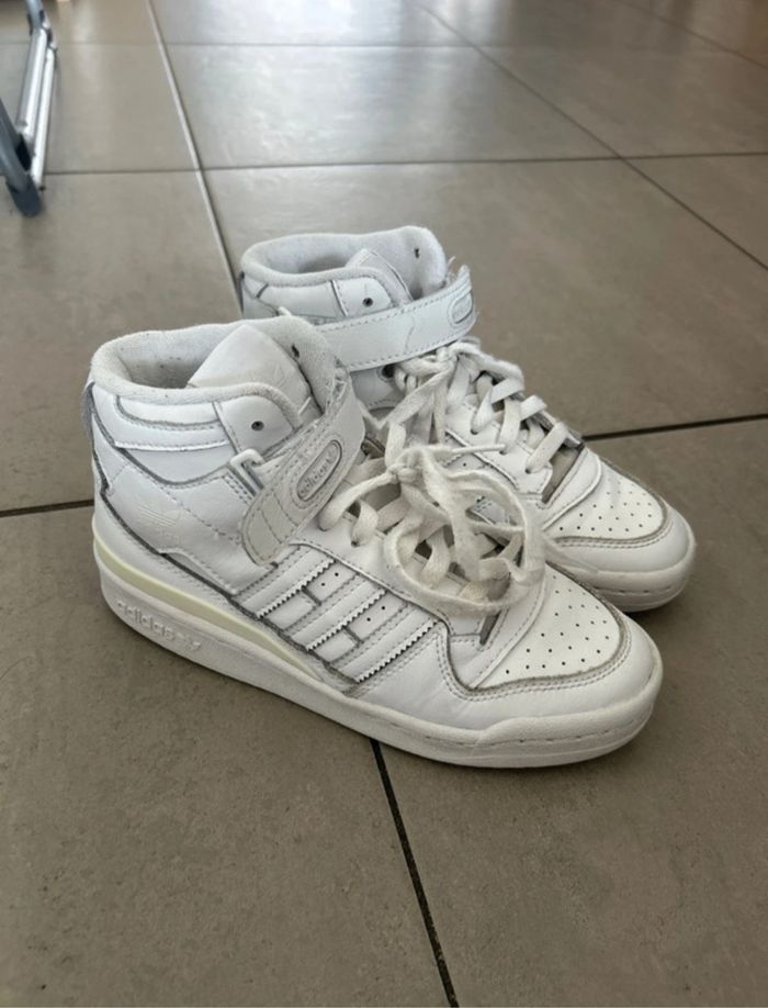 Basket forum Adidas