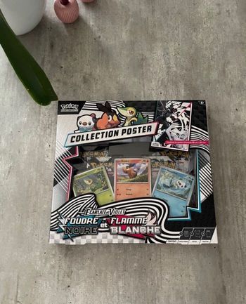 Coffret poster ev10.5 Flamme Blanche / Foudre Noire FR