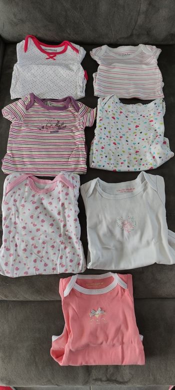 Lot de 7 bodies manches courtes 6 mois
