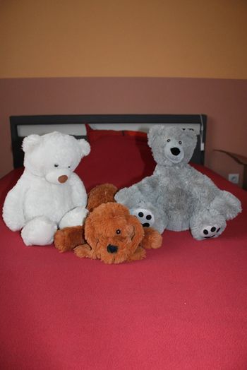 Lot de 3 belles peluches (2 nounours et 1 chien)