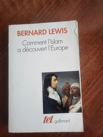 Comment l'islam a découvert l'Europe