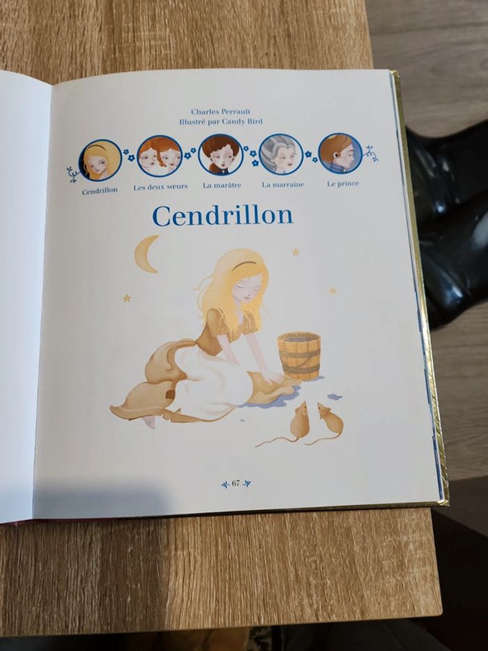 Livre histoire Princesse - photo numéro 9