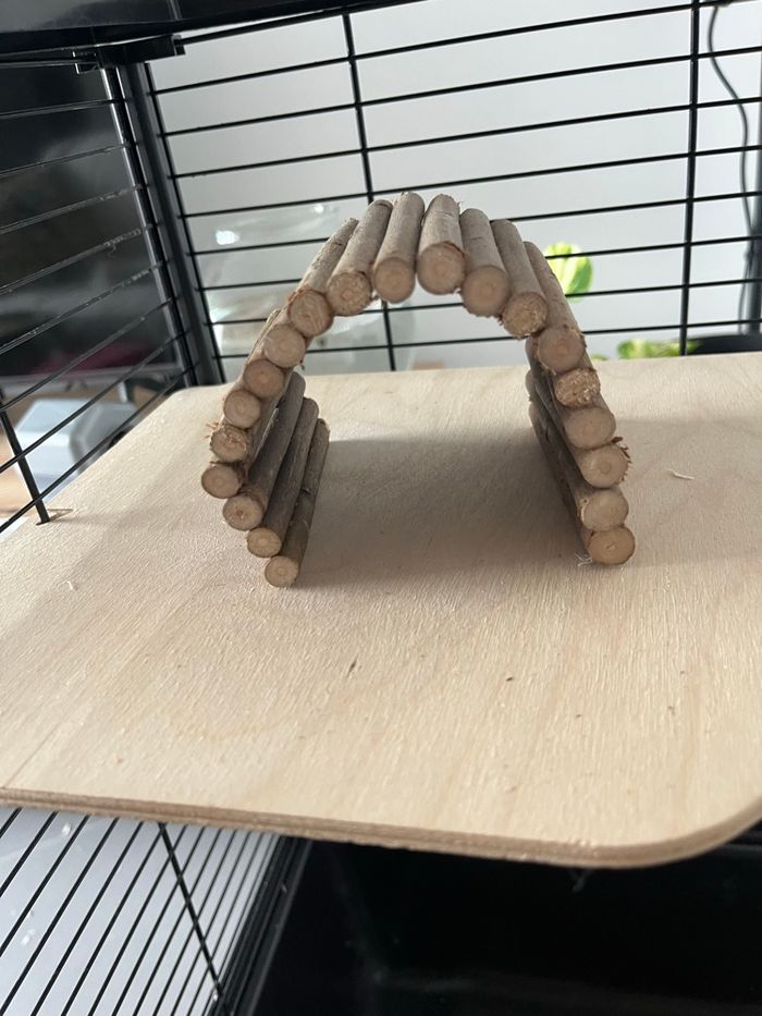 Set hámster - photo numéro 4