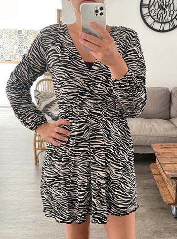 Robe zébrée