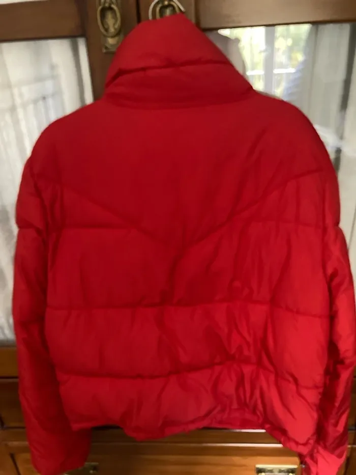 Plumas Bershka - photo numéro 4