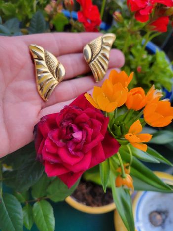 Clips vintage aile de papillon
