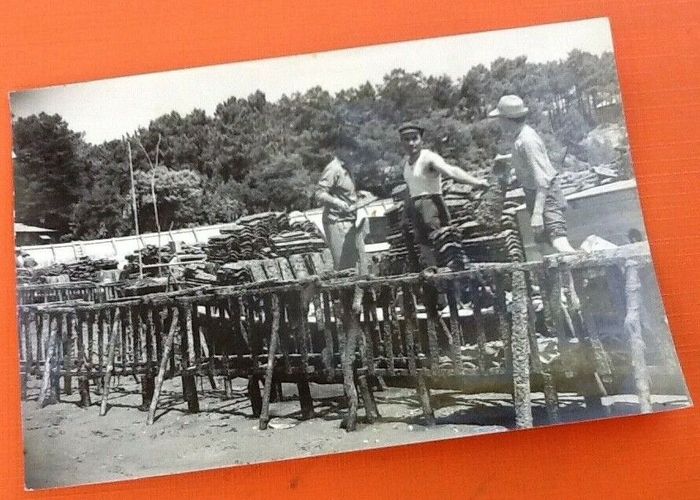 Carte postale ancienne Bassin d' Arcachon (Gironde) Travaux Ostréicoles (Le détroquage) - photo numéro 3