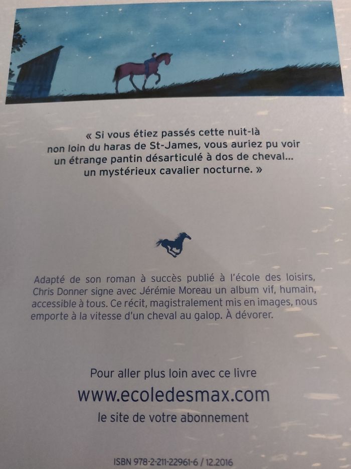 Tempête au haras École des Max - photo numéro 2