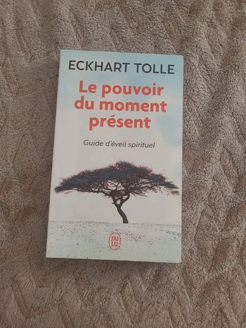 Livre le pouvoir du moment présent