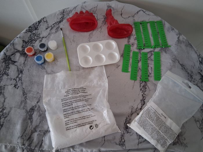 Kit moulage dinosores en plâtre - photo numéro 3