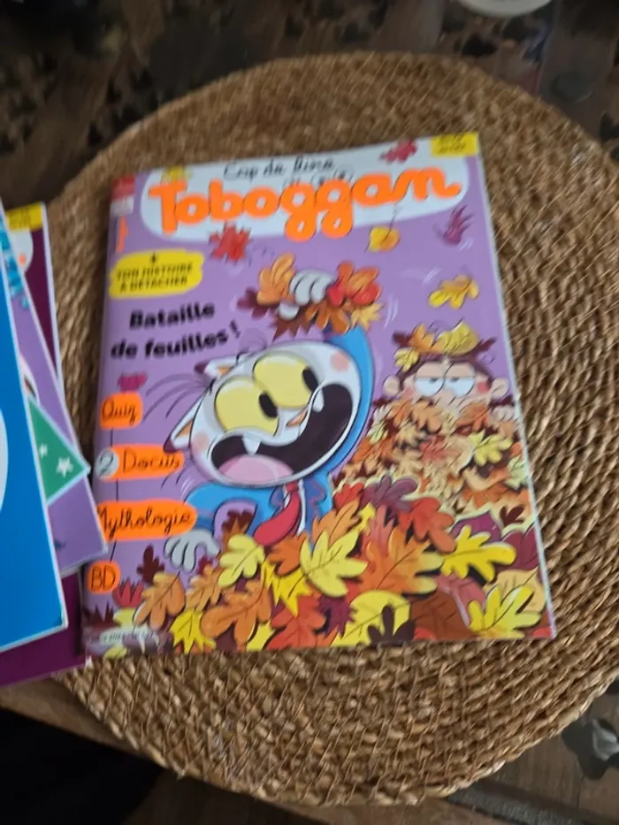 Lot de 5 Tobbogans. Dès 6 ans - photo numéro 14