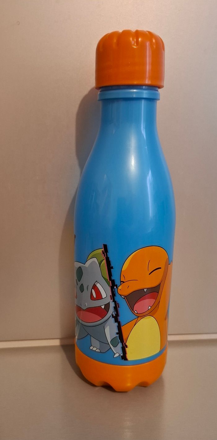 Gourde pokemon - photo numéro 3