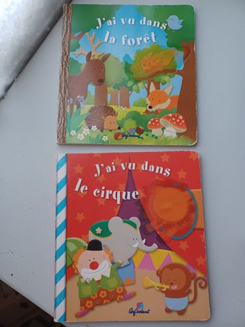 Lot 2 livres cartonnés