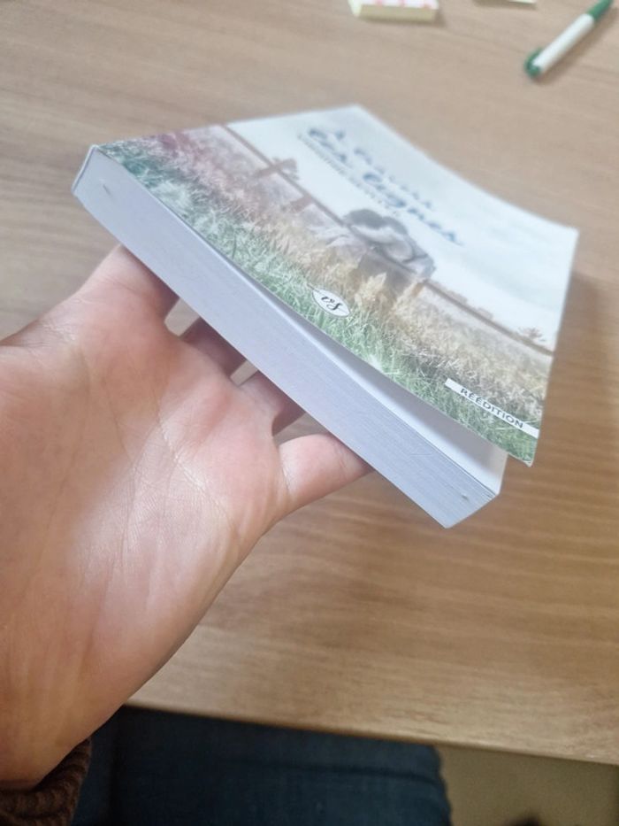 Réédition a travers tes lignes - photo numéro 4