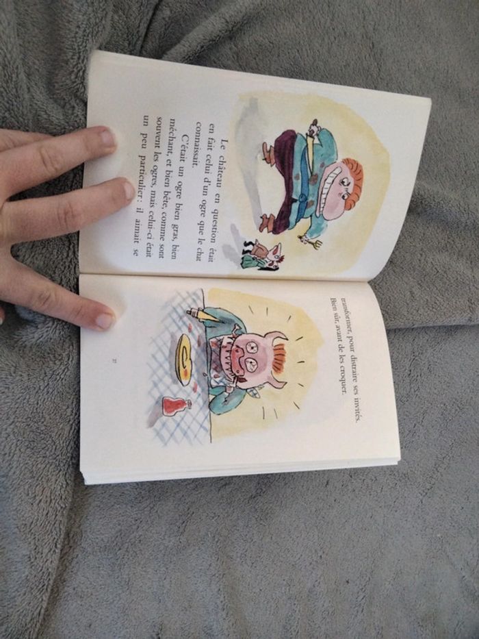 Livre Le Chat beauté - photo numéro 2