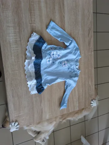 Petite robe manches longues 12 mois