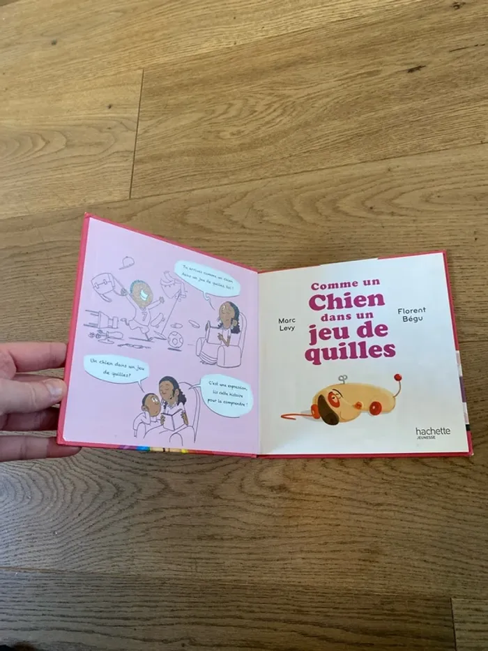 Livre - photo numéro 2