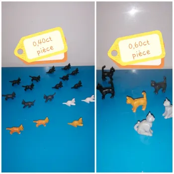 Thème* animaux / chaton - chat