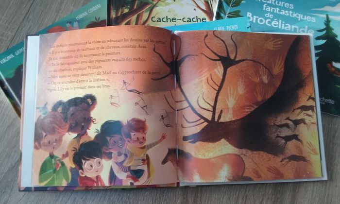 Livres "Merveilles de France" Virginie Grimaldi - photo numéro 2