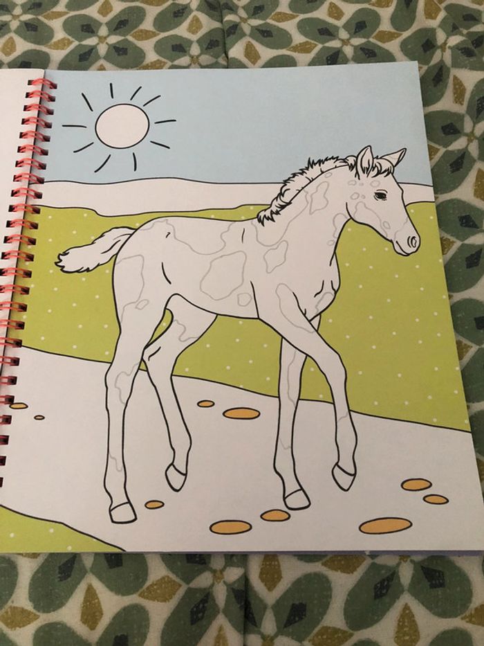 Livre de coloriage miss Mélody - photo numéro 4