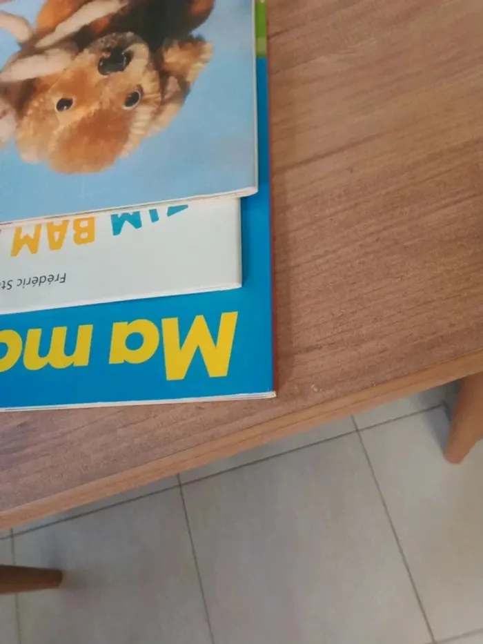 Livre pour enfants - photo numéro 12