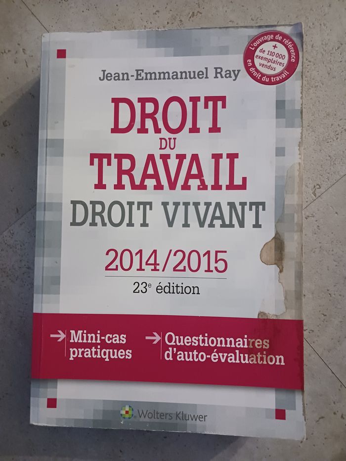 livre droit du travail 2014/2015 Jean Emmanuel Ray