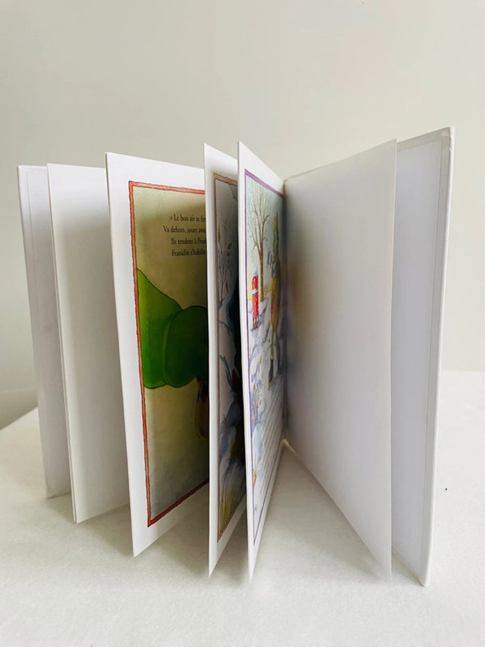 🐢 Livre Franklin. - photo numéro 7