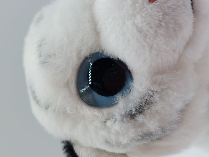 Petite peluche doudou tigre blanc NATURE PLANET gros yeux bleus rayé noir 14 cm - photo numéro 4