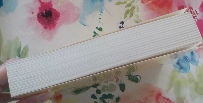 Guide pratique de l amour et de la santé par J.M. David - photo numéro 5