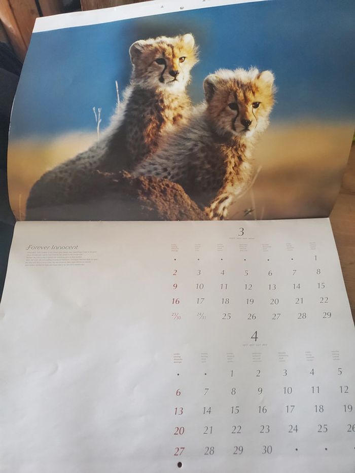 Forever Innocent animaux - photo numéro 3