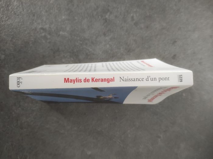 Naissance d'un pont Maylis de Kerangal Folio 2014 - photo numéro 2