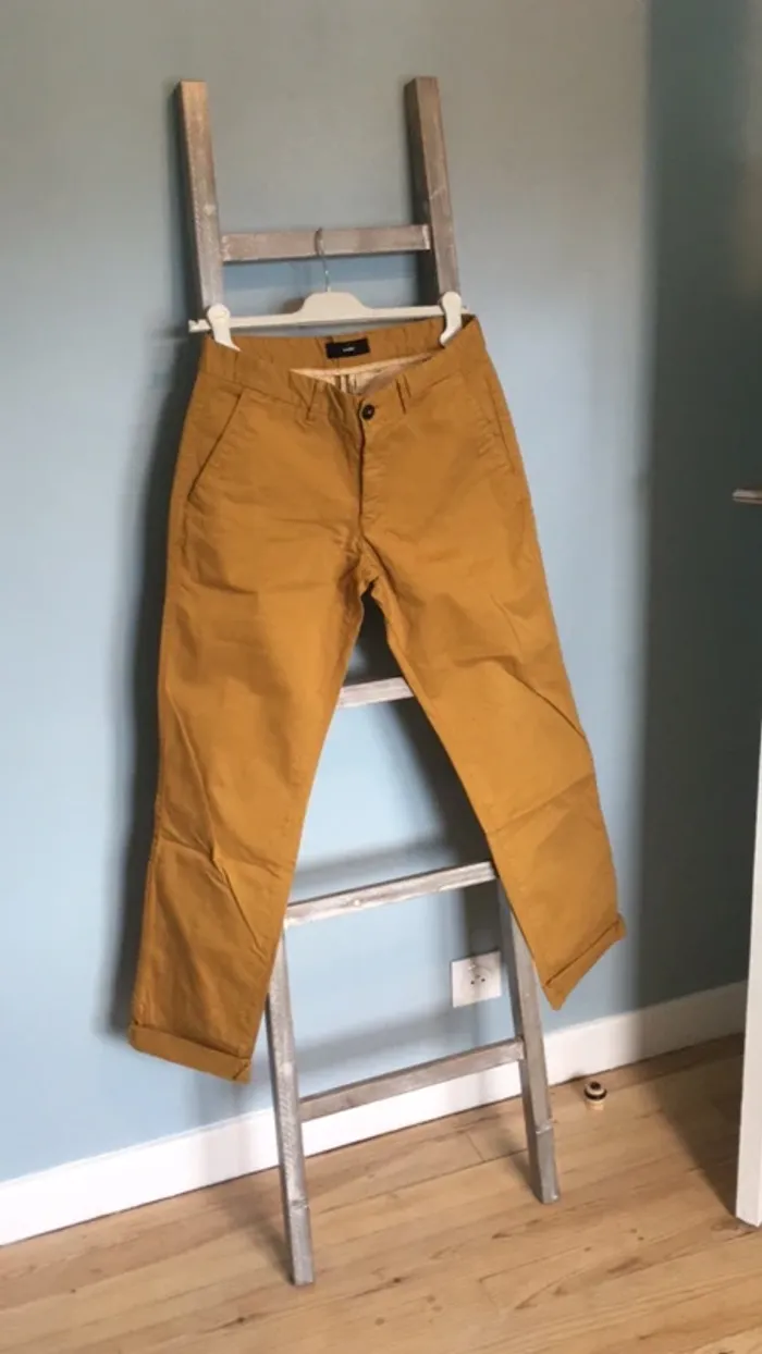 Chino Celio moutarde