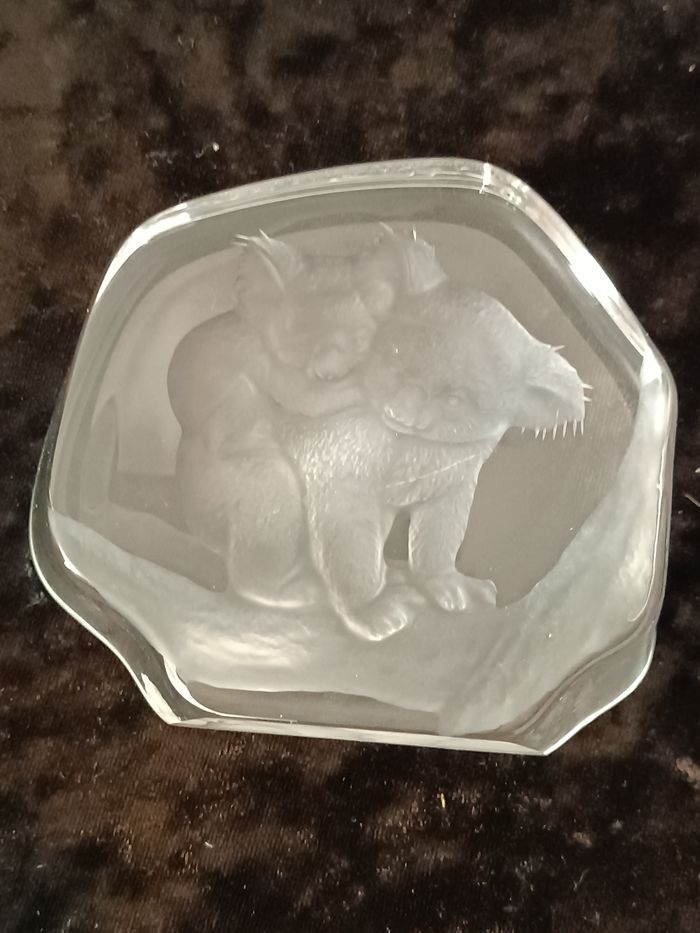 Koalas cristal - photo numéro 3