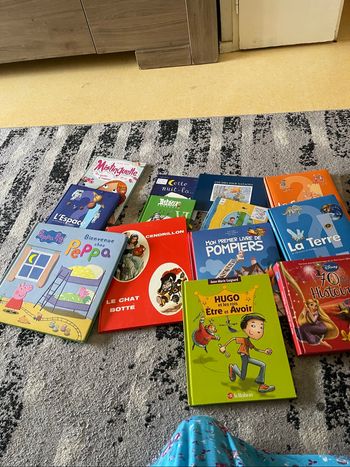 Un lot de livres pour enfants