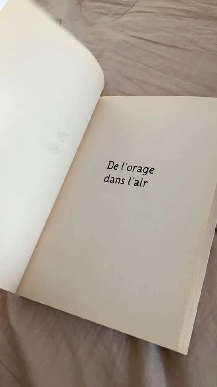 Journal d’une princesse tome 8