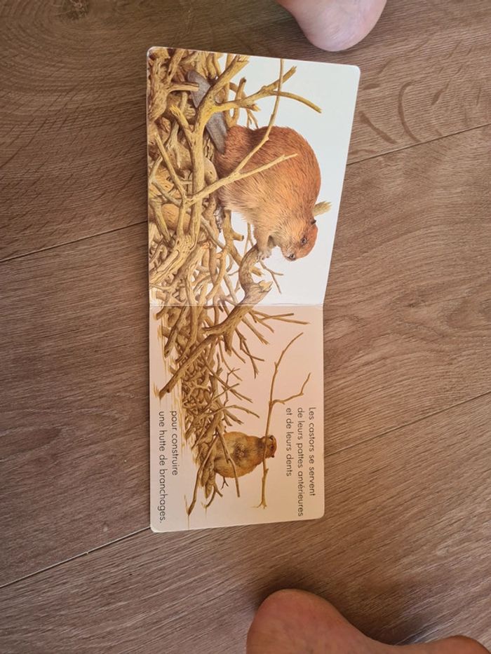 Livre les animaux qui batissent - photo numéro 3
