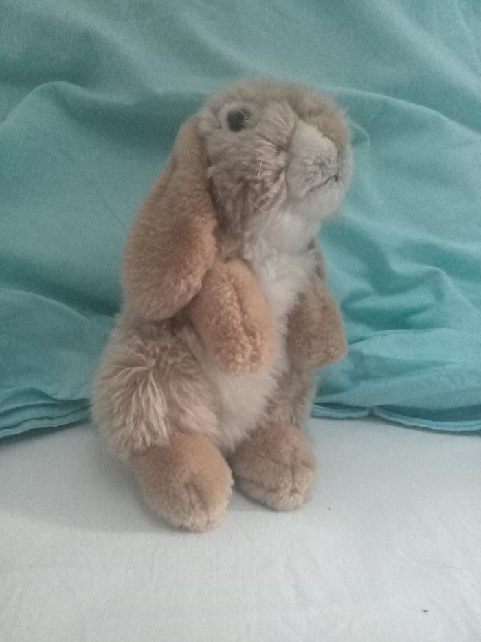 Lapin en peluche - photo numéro 3