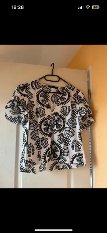 Zara Embroidered Button Down V-neck Blouse