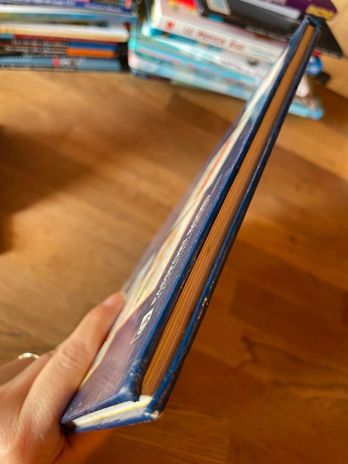 Livre Just Look’n French Picture dictionary - photo numéro 6